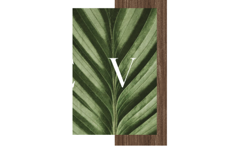 SEVEN